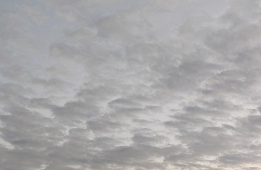 ���ɡ�ũ������2023�����ϣ�΢��ͼƬ_20230121224849.png