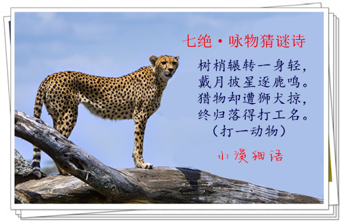 7546ec1ec5dba387848d9c8a3cf6f986_����.jpg