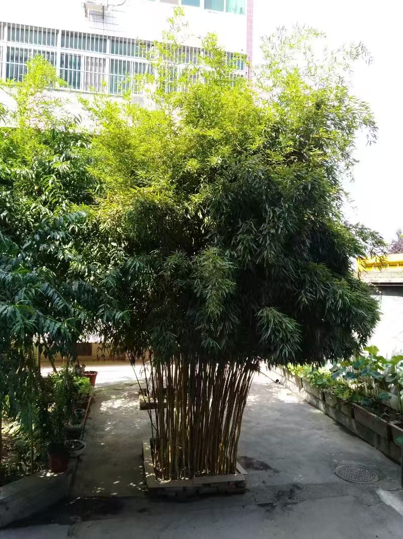 ΢��ͼƬ_20241219092719.jpg